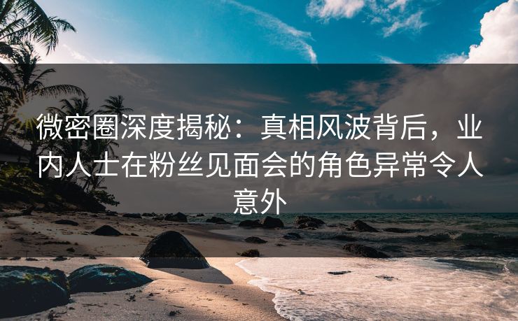微密圈深度揭秘：真相风波背后，业内人士在粉丝见面会的角色异常令人意外