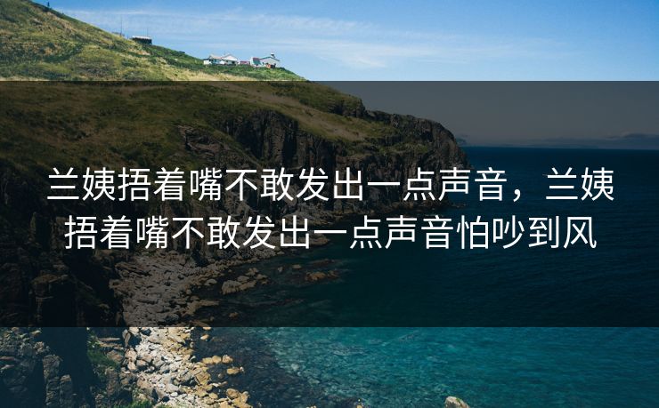 兰姨捂着嘴不敢发出一点声音，兰姨捂着嘴不敢发出一点声音怕吵到风