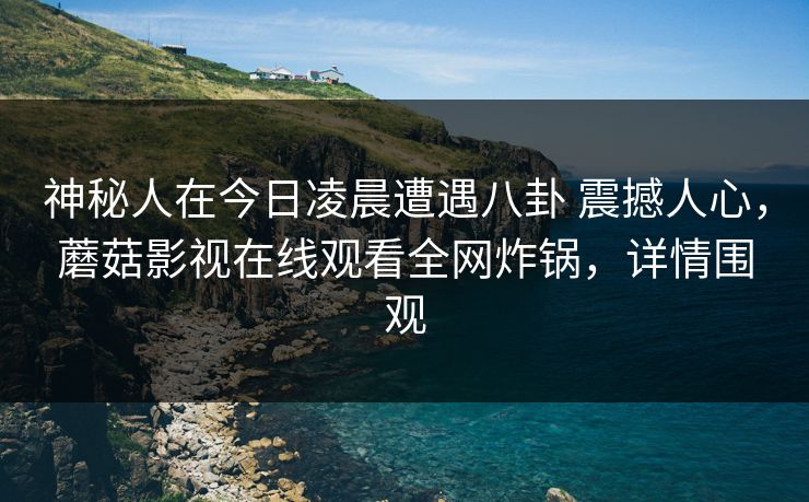 神秘人在今日凌晨遭遇八卦 震撼人心，蘑菇影视在线观看全网炸锅，详情围观